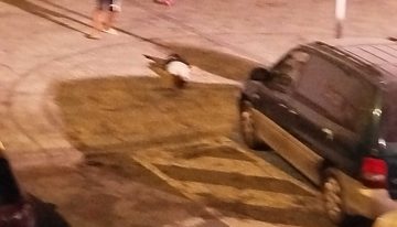 Tres muertos en un tiroteo en Isla Cristina, uno de ellos un menor, en un ajuste de cuentas entre narcos