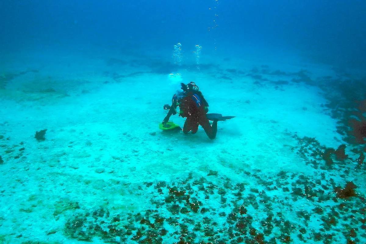 Muere un joven submarinista de 20 años en las costas de Tenerife mientras practicaba buceo a pulmón