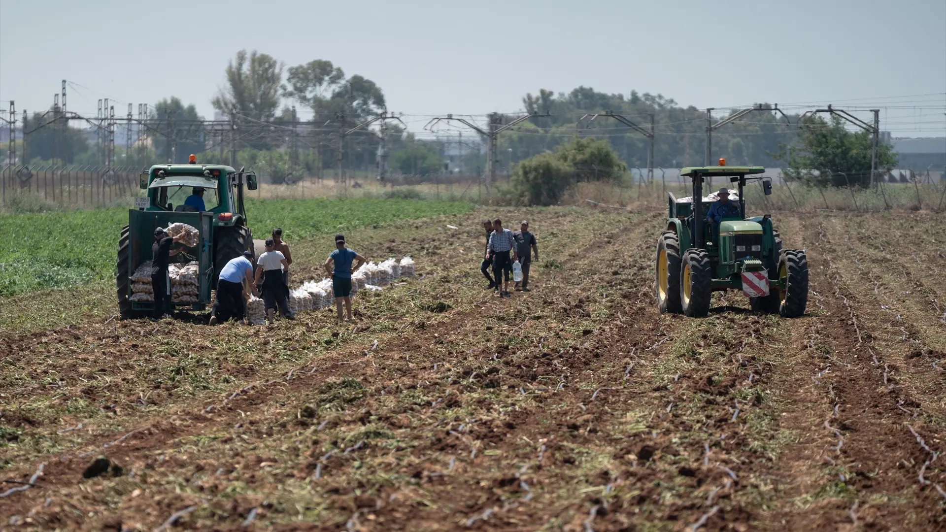 El sector agroalimentario se consolida como el más exportador y supera los 78.000 millones en el último año