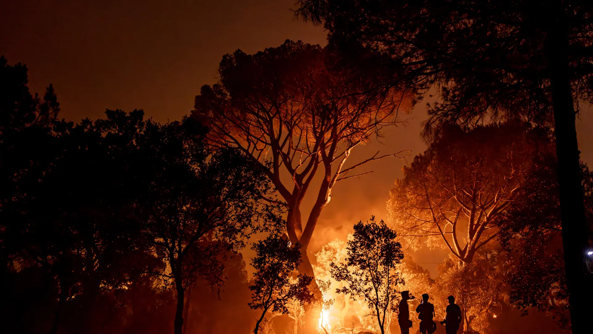 Los incendios forestales impulsan las ventas de bonos de catástrofe para cubrir los riesgos