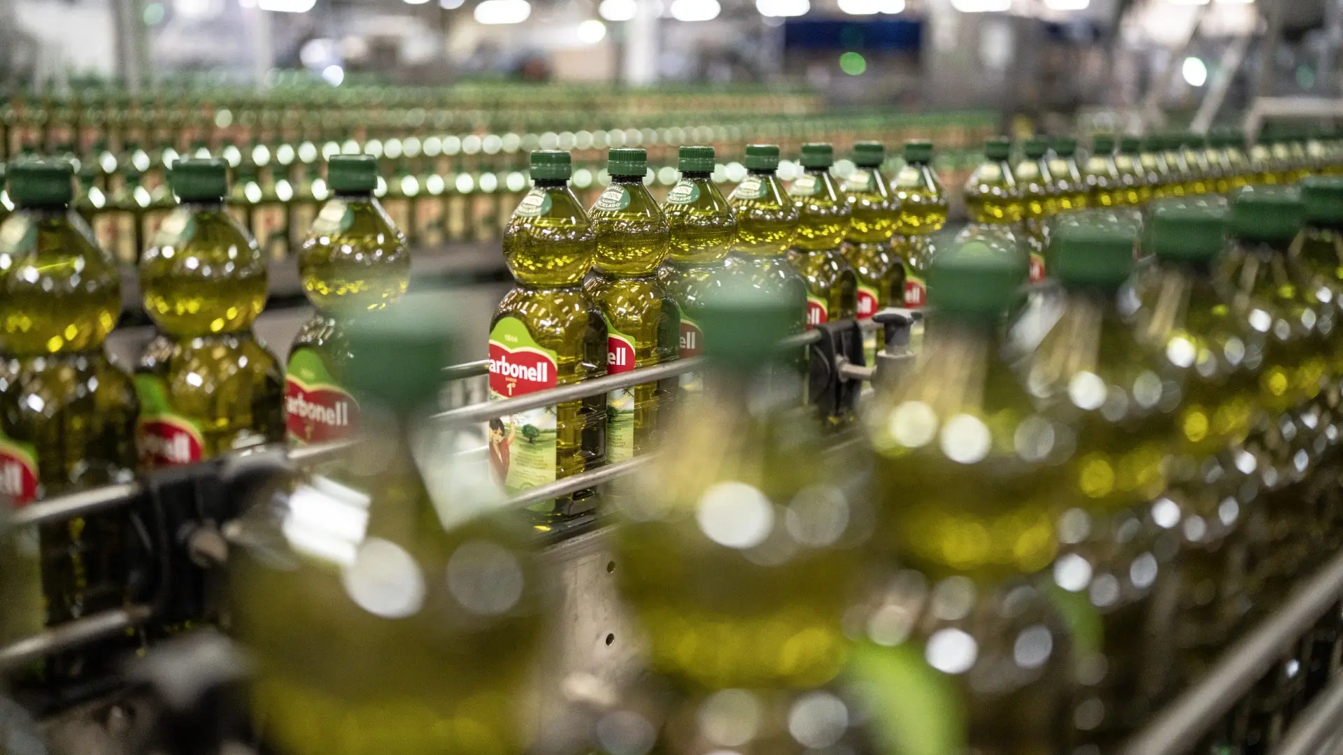 El sueño de crear el gran gigante español del aceite de oliva