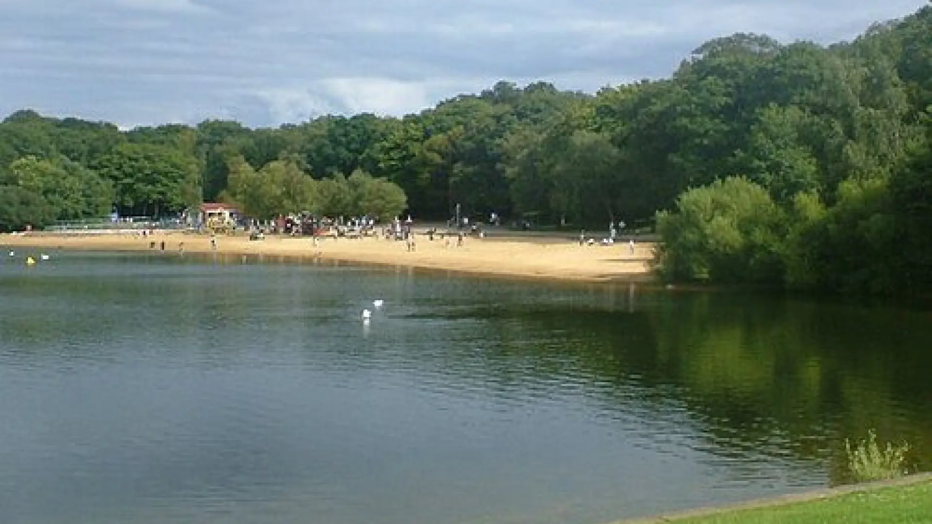 Decenas de peces aparecen muertos en un lago al oeste de Londres por las olas de calor