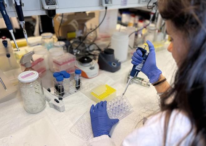 Así funciona a nivel molecular la nueva terapia contra el melanoma
