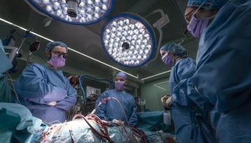 Bellvitge realiza ocho cirugías cardíacas de urgencia en una semana: cuatro trasplantes y cuatro implantes de corazones artificiales