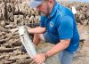 Domingo, Andrés y los últimos de los Corrales: los pescadores que protegen un arte milenario, ahora también contra el alga asiática