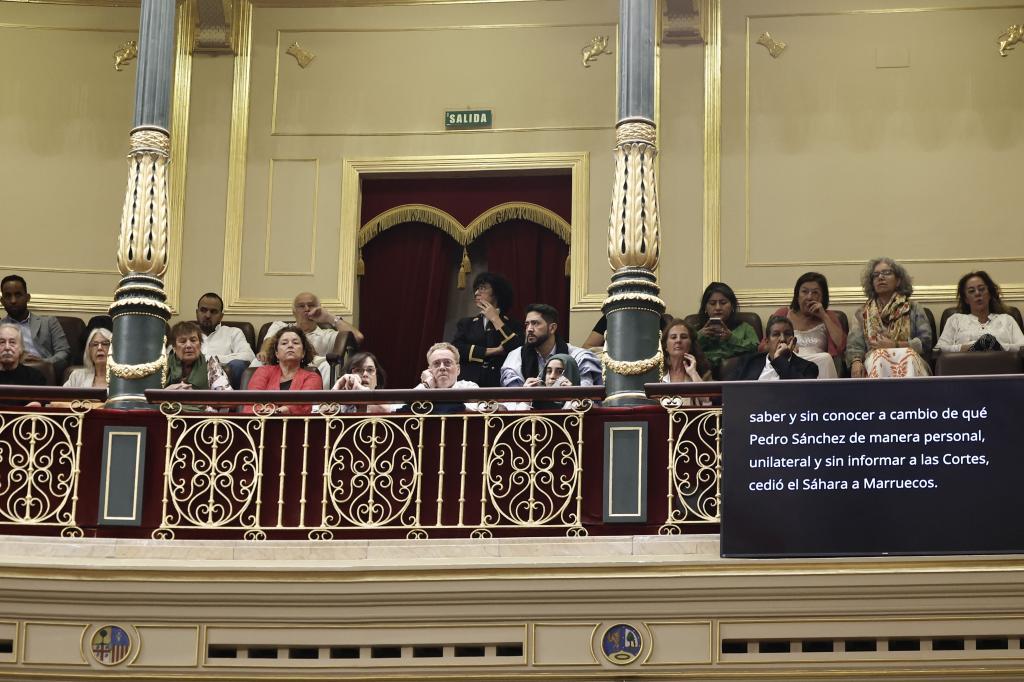 Representantes del pueblo saharaui siguen el pleno desde la tribuna de invitados.