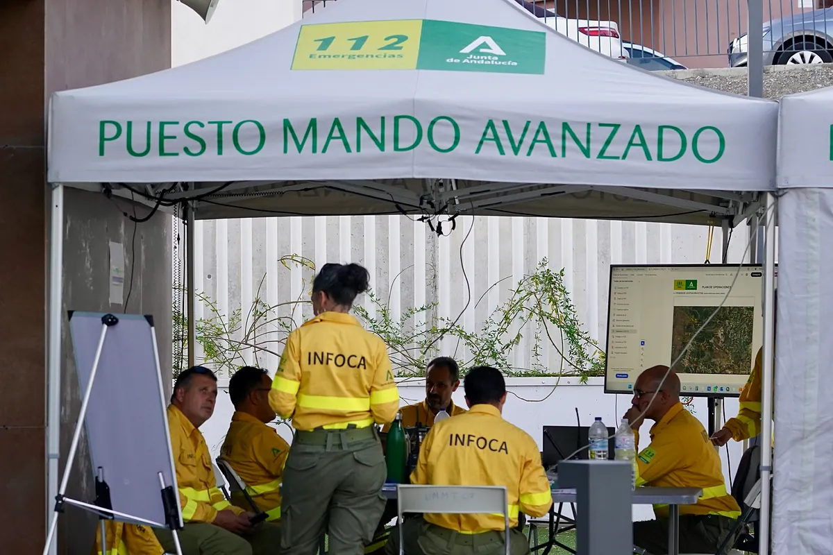Estabilizado el incendio forestal de Benahavís