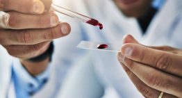 ¿Sabes todo lo que hace una gota de sangre mientras lees este artículo?