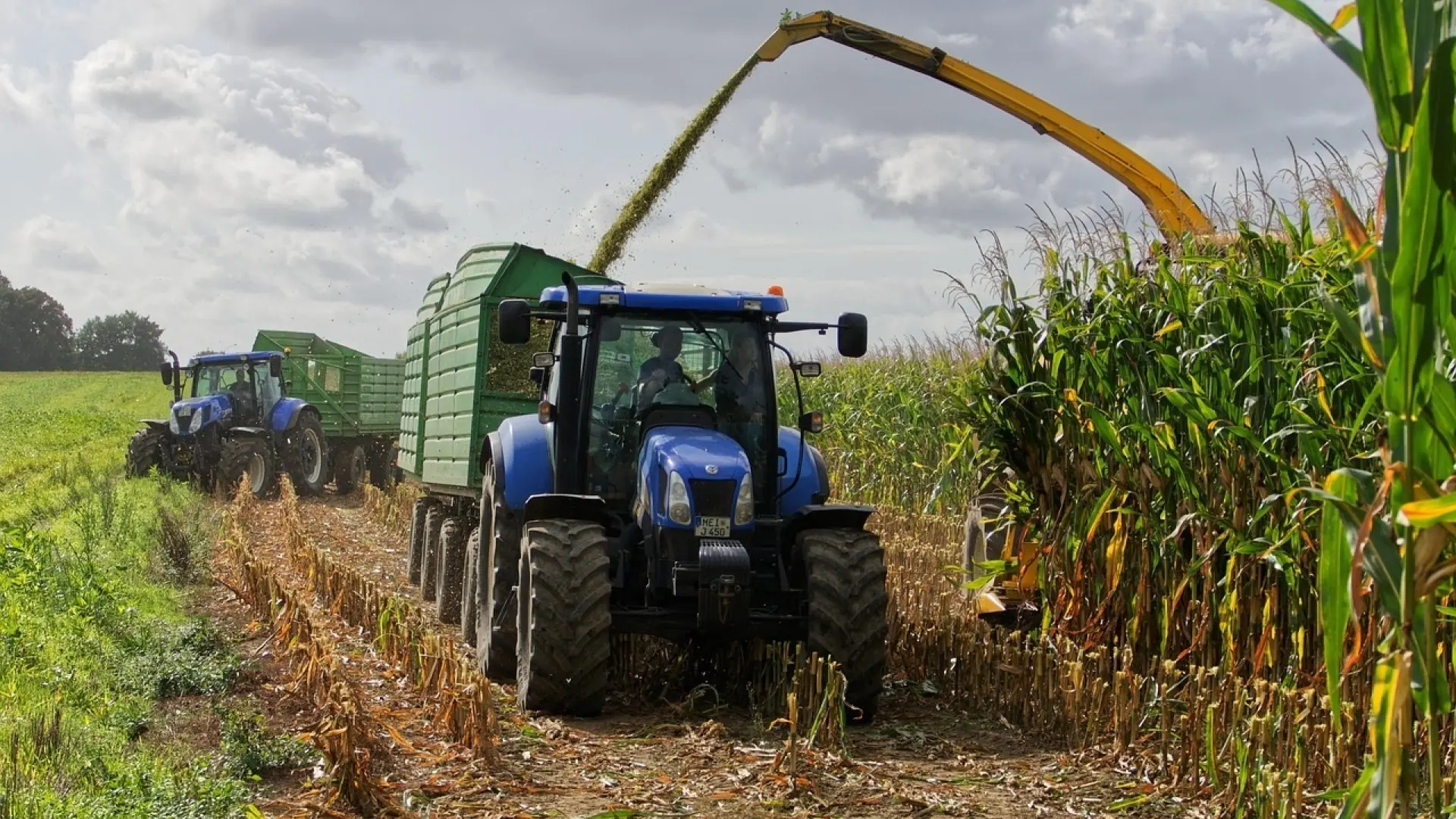 Los agricultores ven insuficientes las ayudas al gasóleo y mantienen las movilizaciones que incluirán Madrid