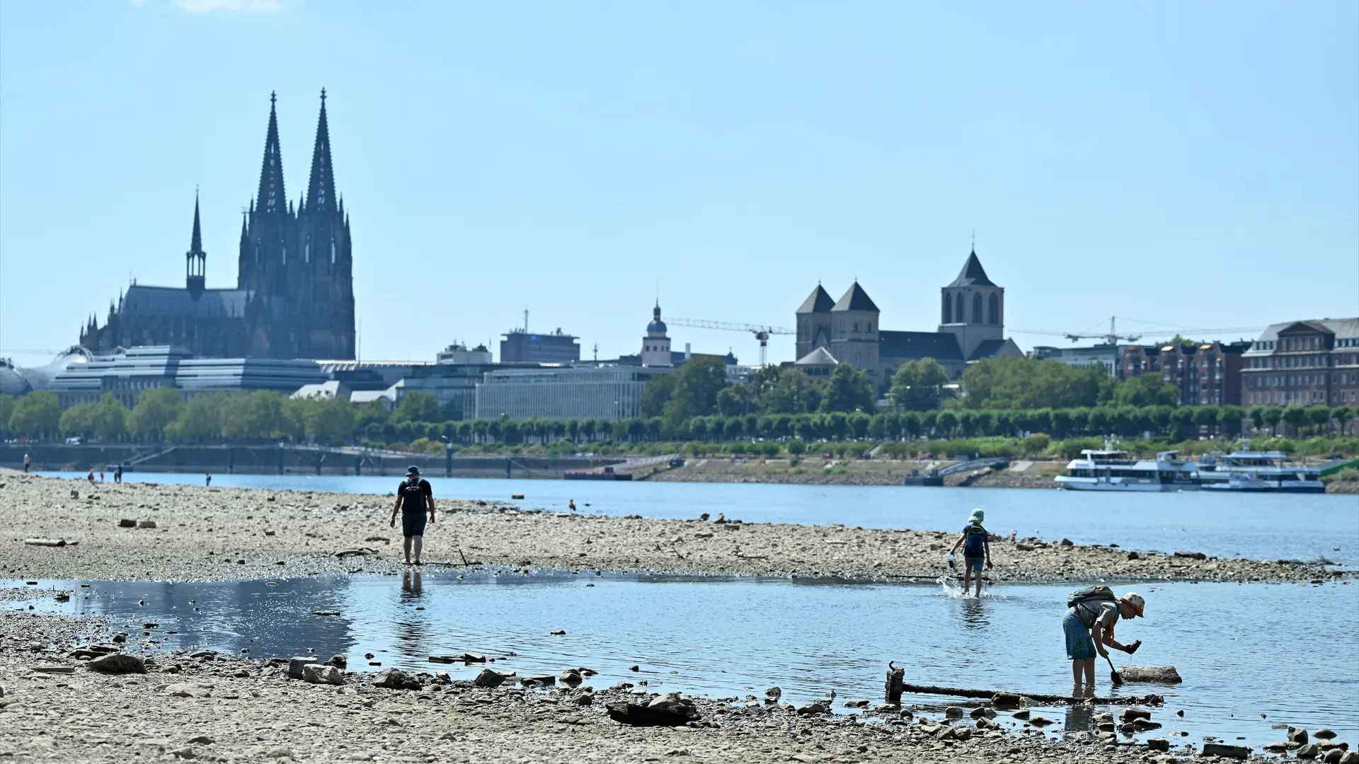 Las olas de calor sacuden al campo europeo con pérdidas de hasta el 70% en la cosecha de maíz y del 10% en el lácteo