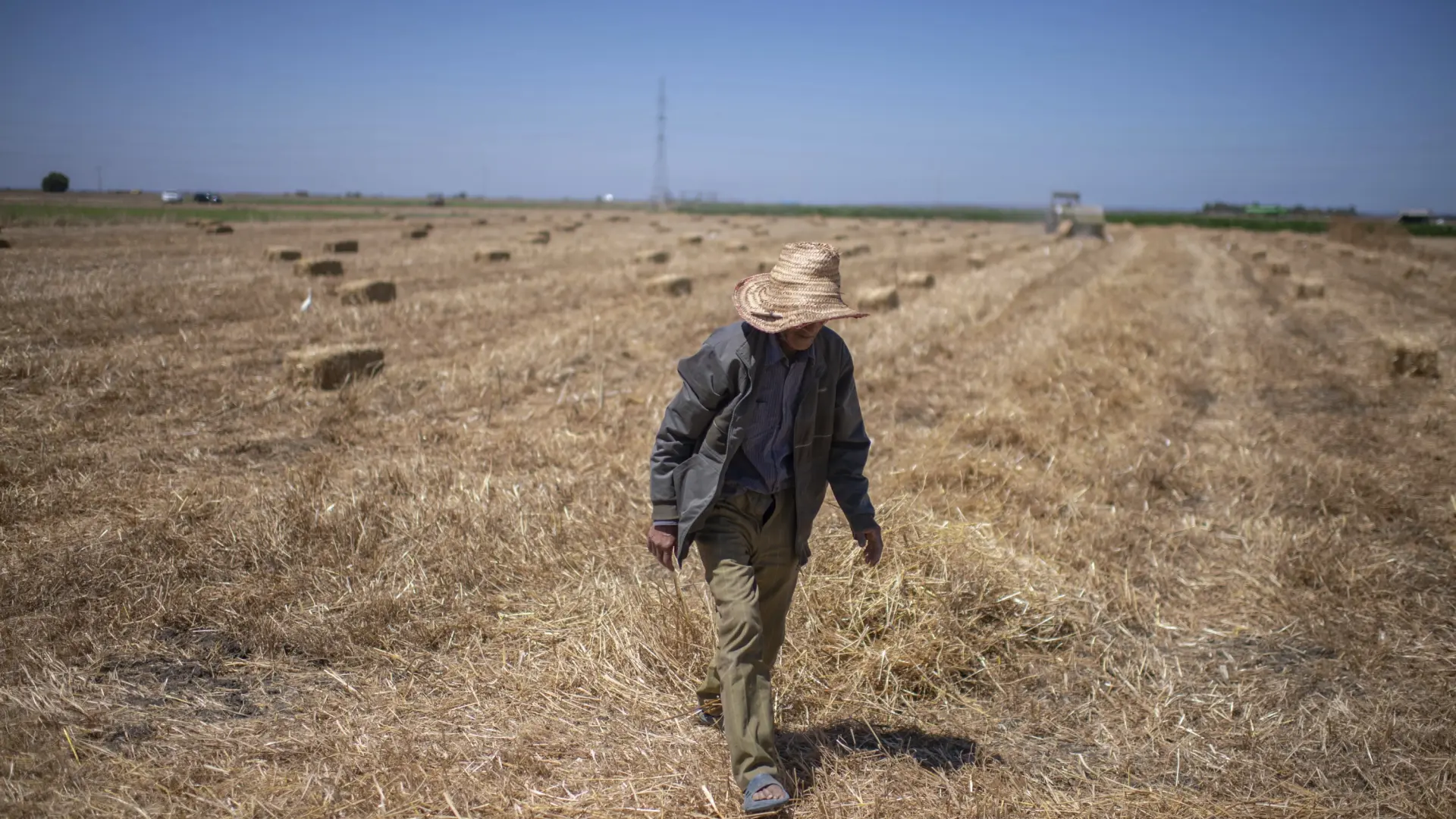 Los precios mundiales de los alimentos se disparan al nivel más alto desde 2022 con cereales, azúcar y lácteos a la cabeza