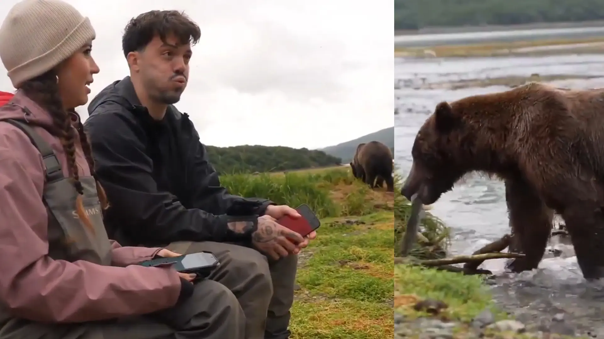 Tensión máxima para un grupo de 'streamers' al cruzarse con un oso pardo cazando en pleno directo: «Pensé que era el final»