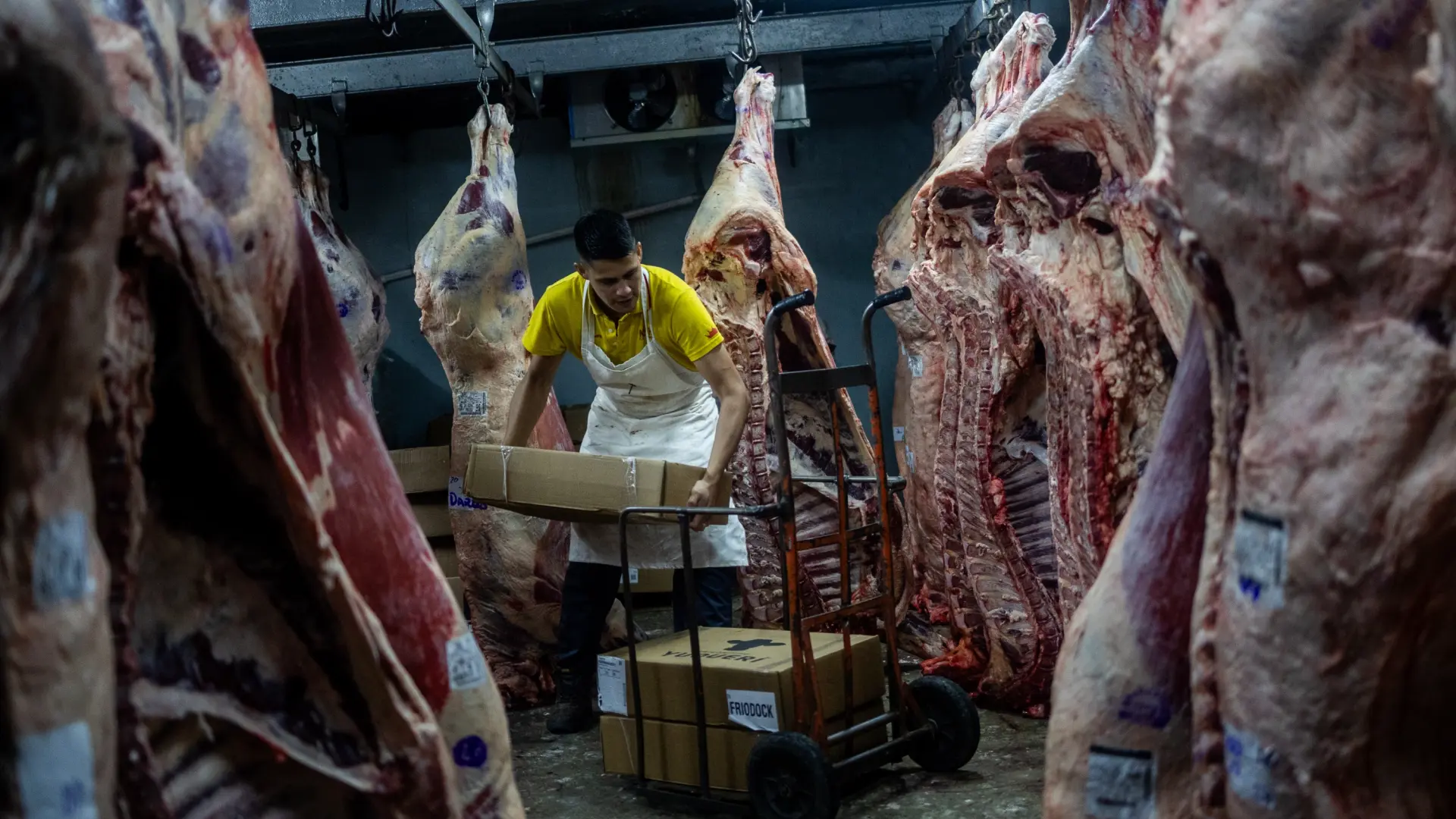 Los efectos del pacto entre Mercosur y la UE ya impactan en la carne: «Toda la cadena lo nota y será más barata para los europeos»