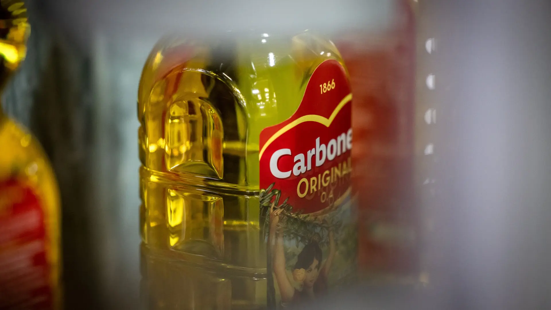 ¿Dcoop o Coricelli? Del gran coloso del aceite de oliva español al salto internacional de los italianos