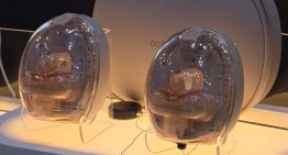 De un robot que cuida a tu mascota a un arenero que se limpia solo: nuestros favoritos de IFA 2026