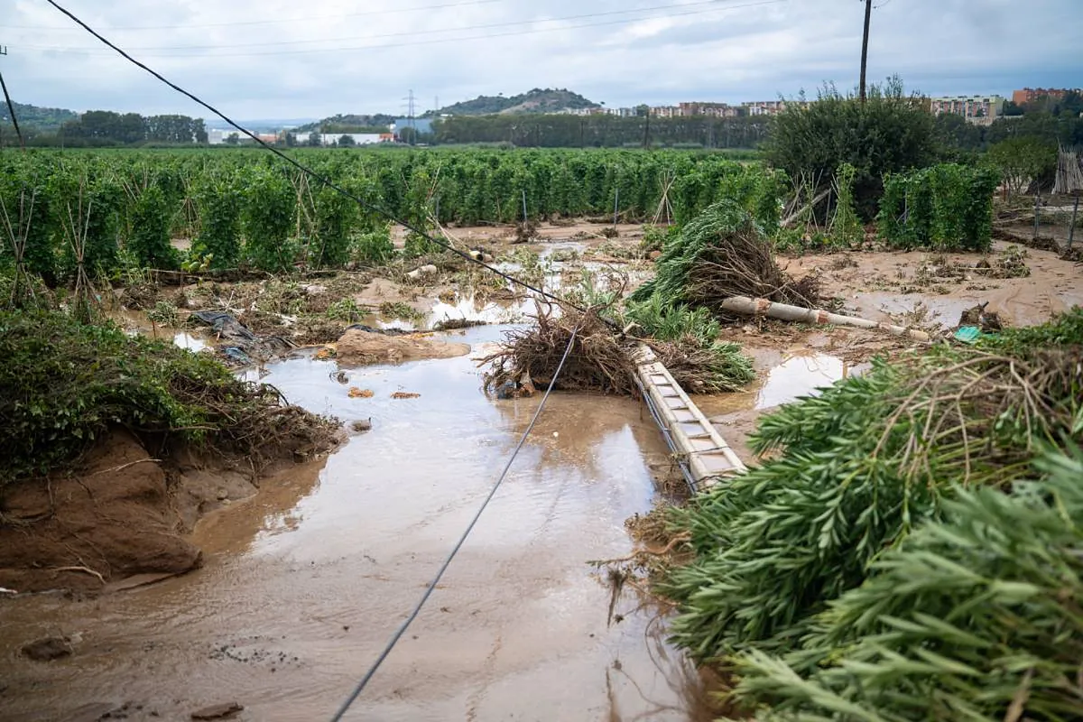 La Junta declara la situación 1 de emergencia en Ávila por la situación de embalses
