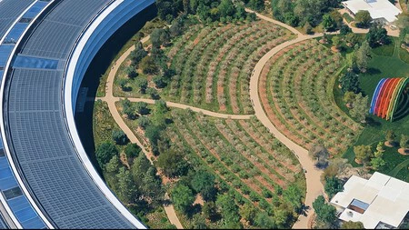 Zona del huerto en el Apple Park