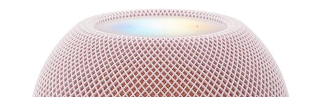 Homepod Mini 2 Rosa