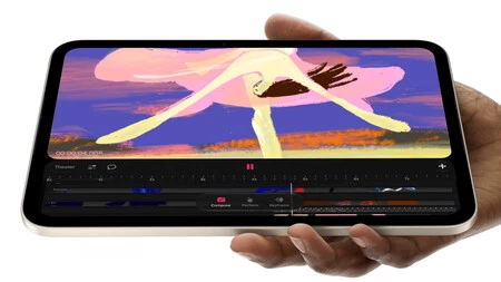 Ipad Mini 8