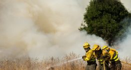 El fuego asola España: declarada la fase de preemergencia tras miles de desalojos en León, Madrid y Cádiz