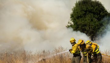 El fuego asola España: declarada la fase de preemergencia tras miles de desalojos en León, Madrid y Cádiz