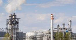 Detector de bulos ambientales | No, los biocombustibles no son verdes ni 100% renovables