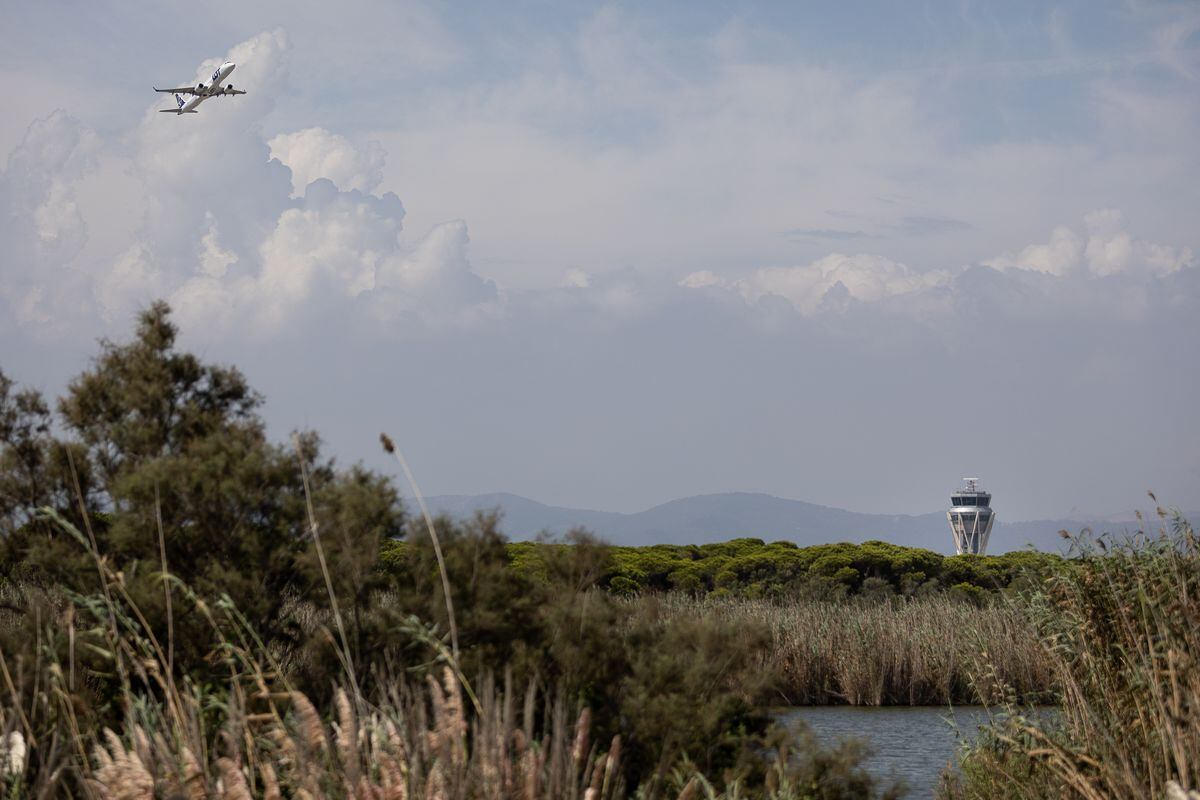 Un avión pasa sobre la zona natural de la Ricarda, una zona protegida junto al aeropuerto de El Prat.