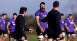 Los Pumas defienden ante Gales el sexto puesto en el ranking y Contepomi vuelve a cambiar