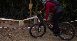 El Govern organiza la captura de posibles jabalíes infectados por la peste porcina en Collserola