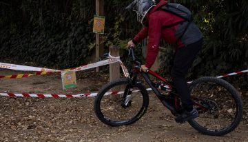 El Govern organiza la captura de posibles jabalíes infectados por la peste porcina en Collserola