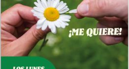 La Primitiva: comprobar sorteo del lunes 6 de abril