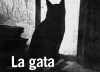 Joan Esculies conta amb audàcia la vida d’un felí desemparat a ‘La gata’