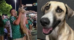 No estaba muerta, andaba de parranda | Una mujer encuentra a su perra desaparecida celebrando con extraños la victoria de México en el Mundial 2026