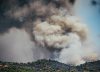 Última hora de los incendios forestales en España, en directo | Protección Civil informa de que la situación en el incendio de Ávila es “bastante más favorable”