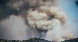 Última hora de los incendios forestales en España, en directo | Protección Civil informa de que la situación en el incendio de Ávila es “bastante más favorable”