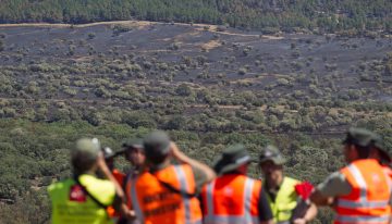 Controlado en incendio forestal de Lozoyuela (Madrid) tras calcinar 865 hectáreas