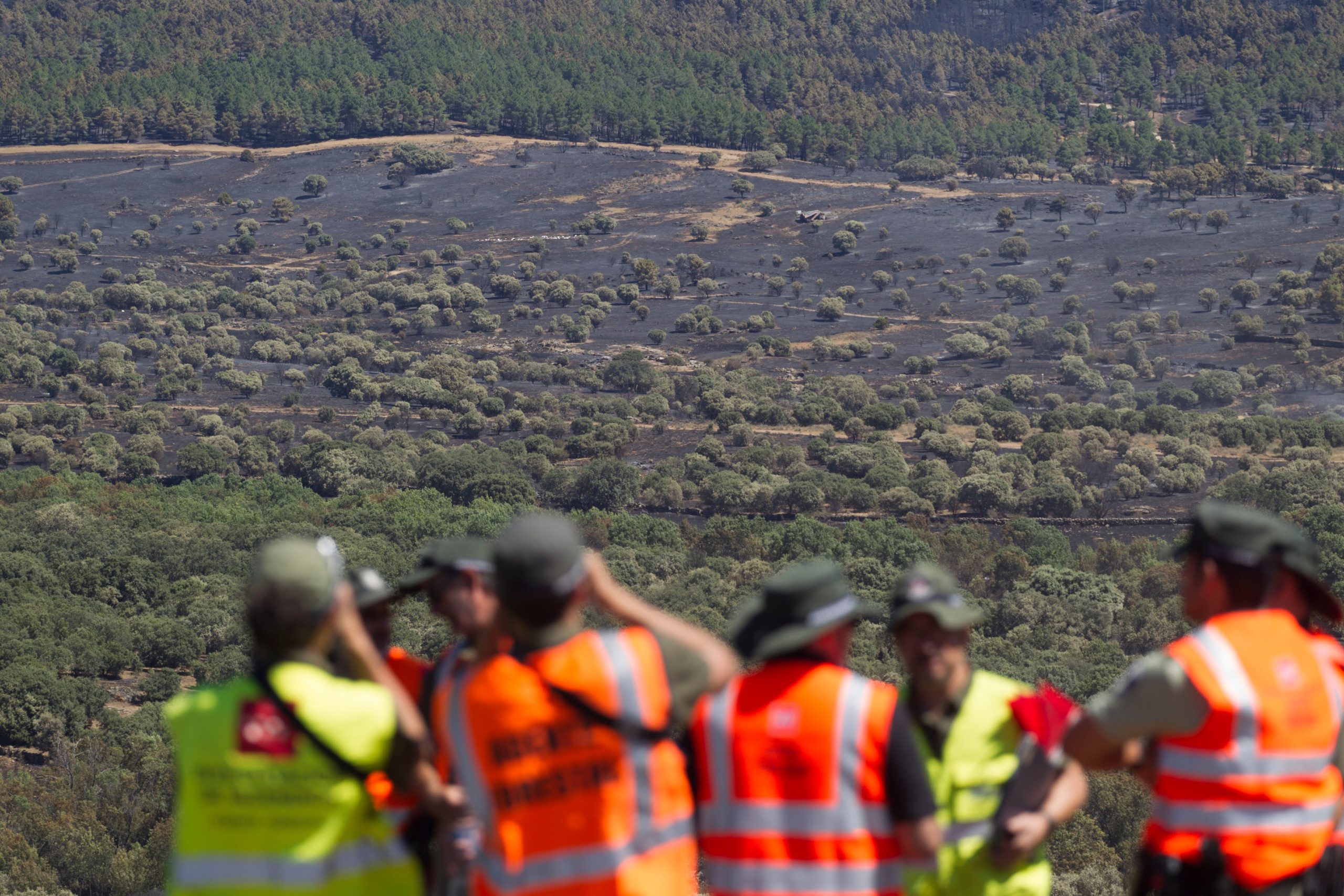 Zona afectada, junto a la Nacional I, donde parece ser empezó el incendio. Agentes forestales e investigadores, recorren la zona para encontrar pruebas.
