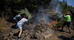 Última hora de los incendios forestales, en directo | Madrid concentra los esfuerzos para impedir que se reactiven los focos en el embalse de San Juan