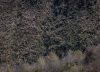 La nieve, la burocracia y la falta de empresas forestales ralentizan la limpieza de los árboles caídos con los vendavales de invierno: “Es como un ‘mikado”