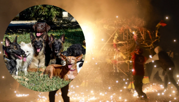 Puebla prohíbe el uso de fuegos artificiales para cuidar a los firus