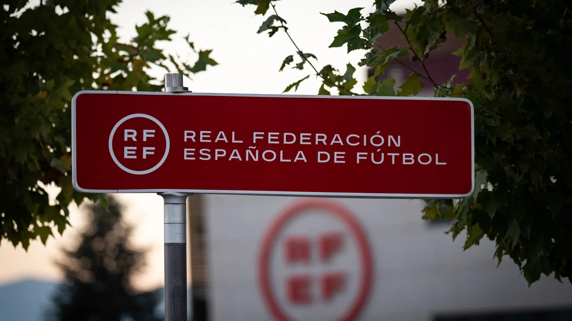 El TAD anula las elecciones a la presidencia de la RFEF