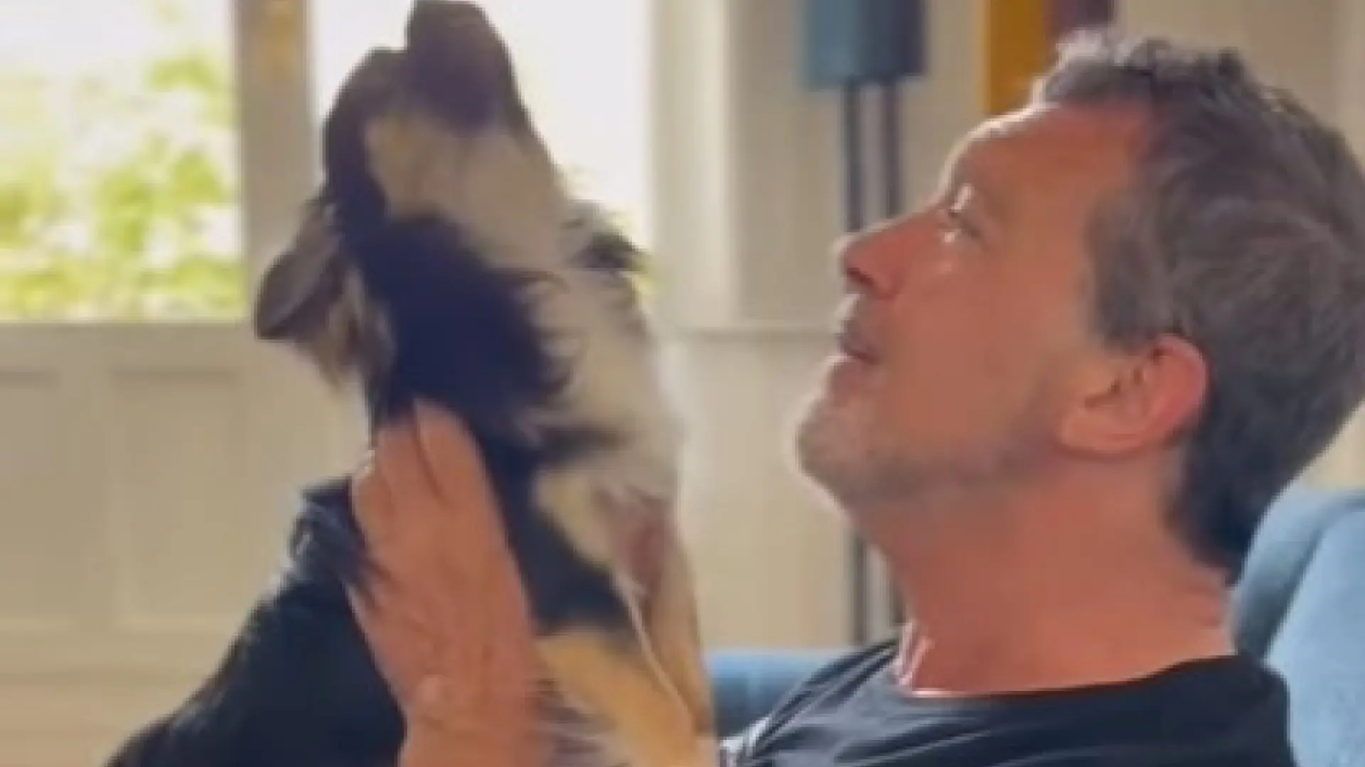 Antonio Banderas apunta al final de 'Gypsy' con un divertido vídeo con su perro: "A él también le va a resultar difícil decir adiós"
