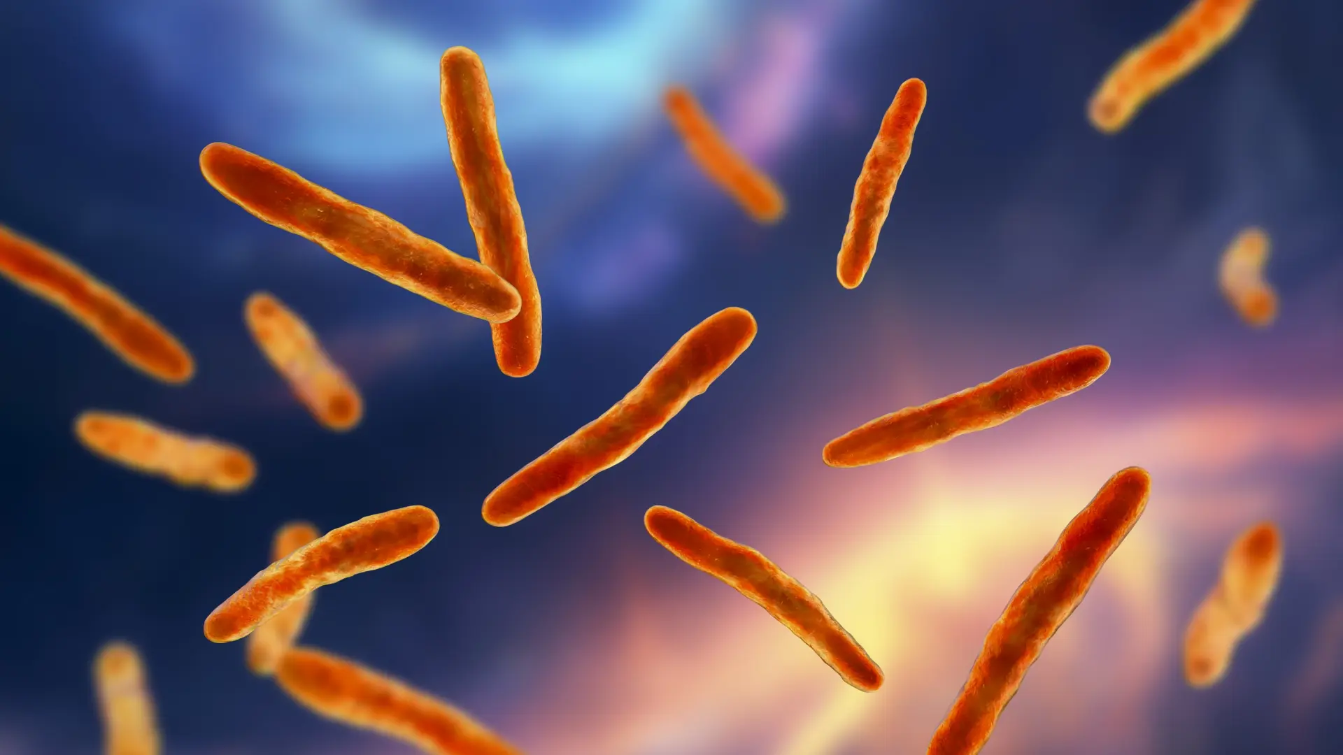 Una vacuna española contra la tuberculosis podría sustituir en 2028 a la única que hay en el mundo, pero hay una pega