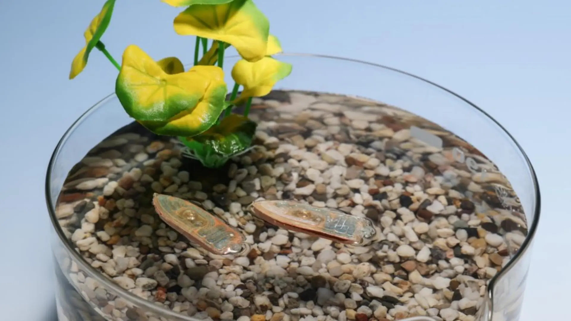 Científicos europeos crean un robot acuático que nada, se deshace y se convierte en comida para peces