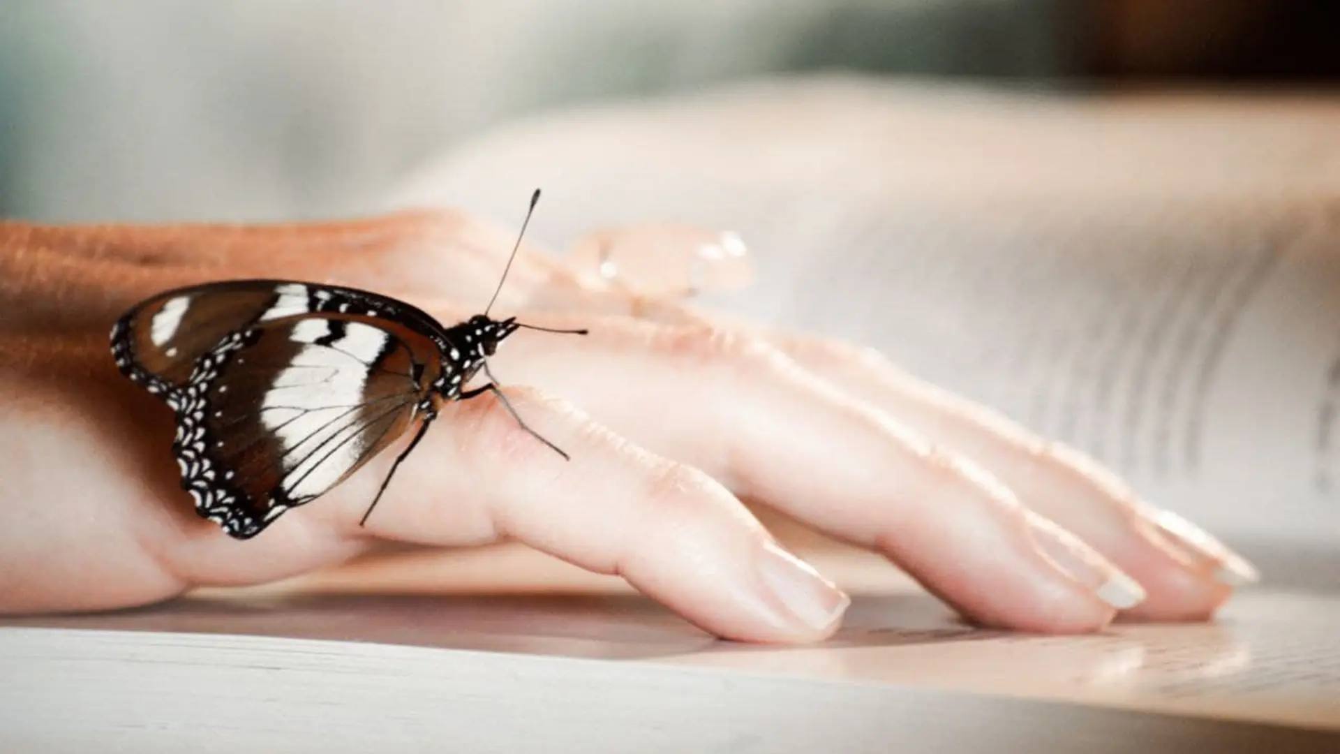 Una esperanza para los enfermos de 'piel de mariposa': un injerto de piel modificado podría aliviar su situación