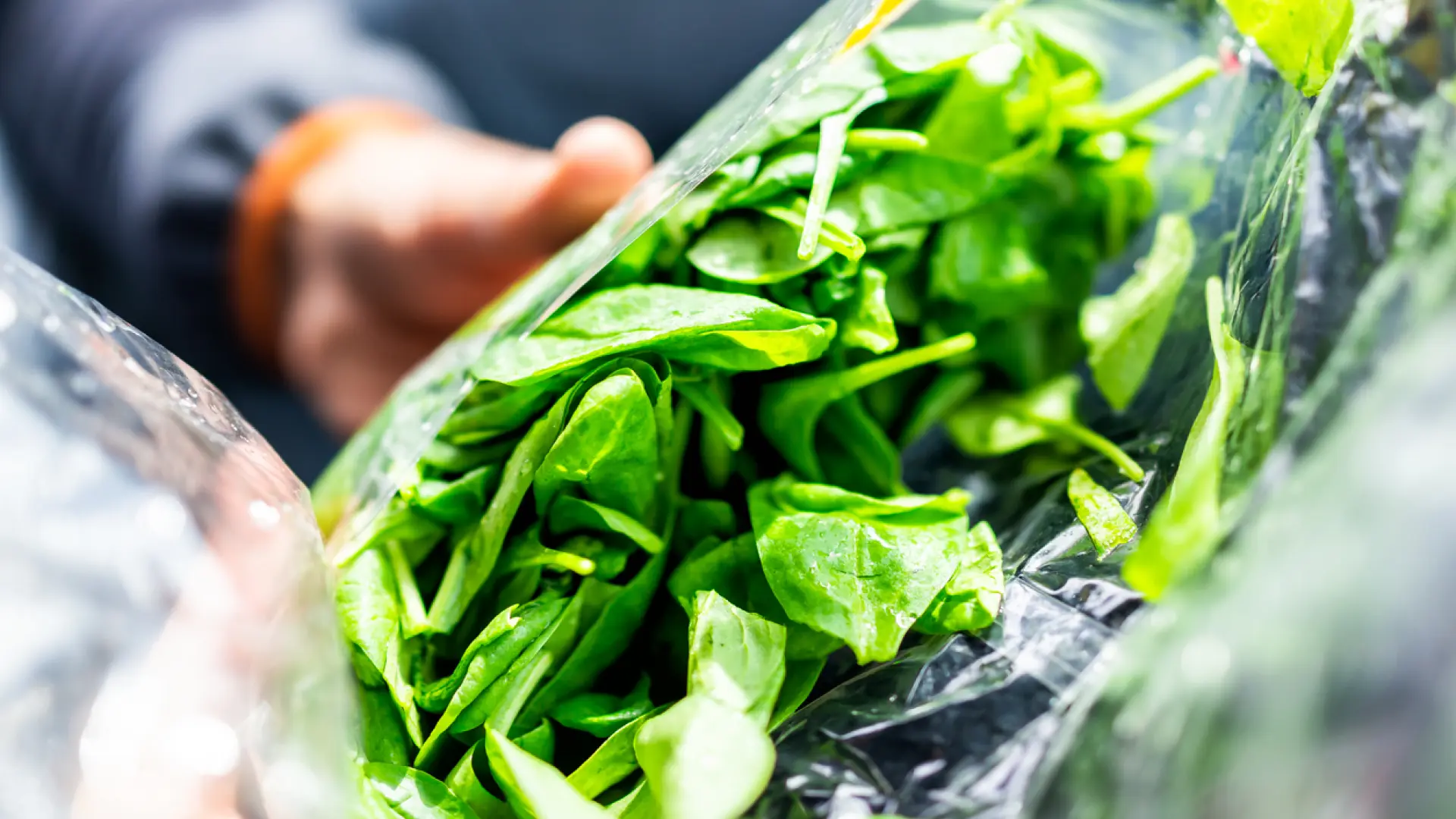 Detectan toxoplasmosis en una de cada 25 ensaladas de bolsa en Europa