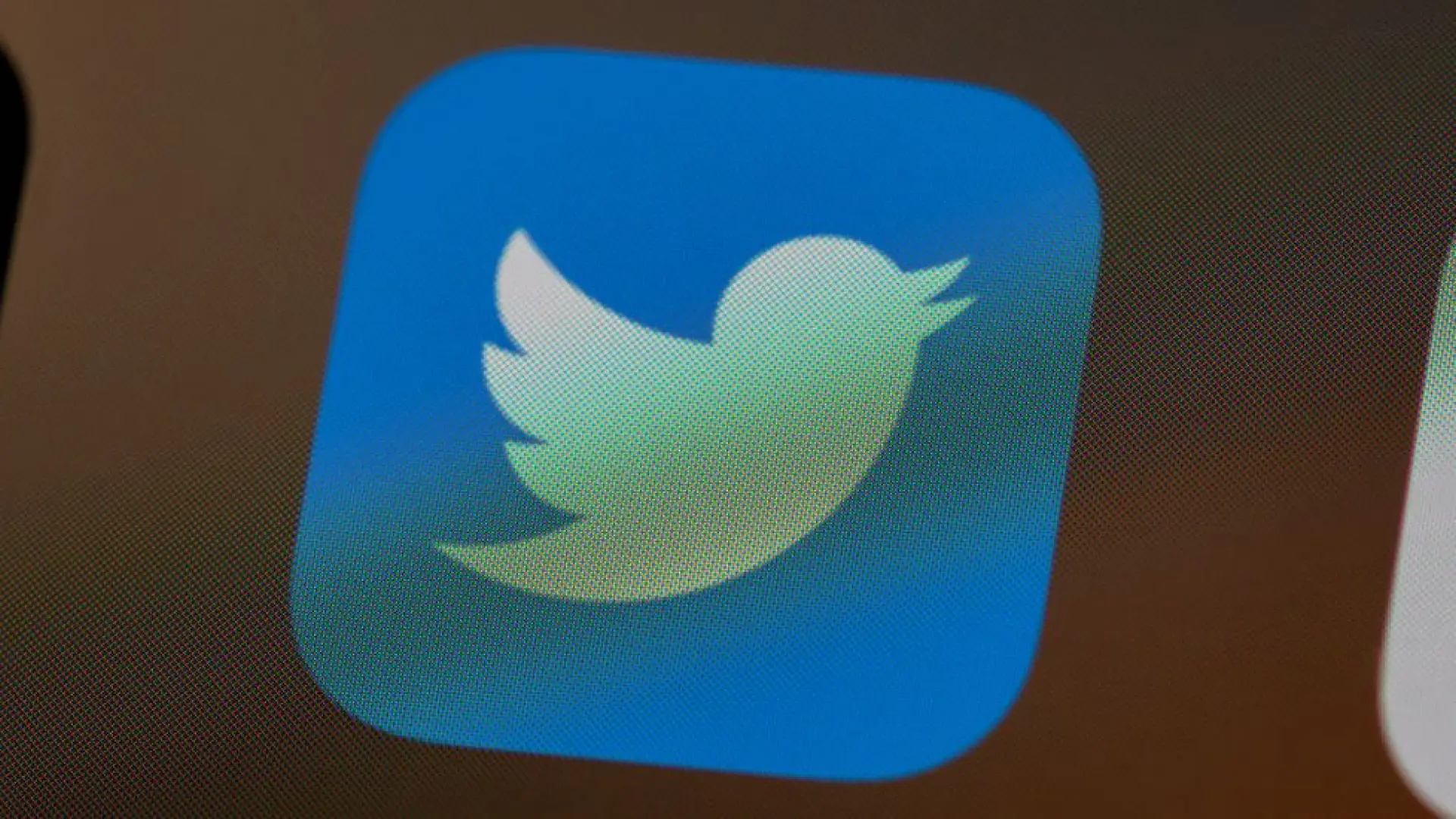 19 años de Twitter: los tuits más virales de personalidades españolas que aún recordamos