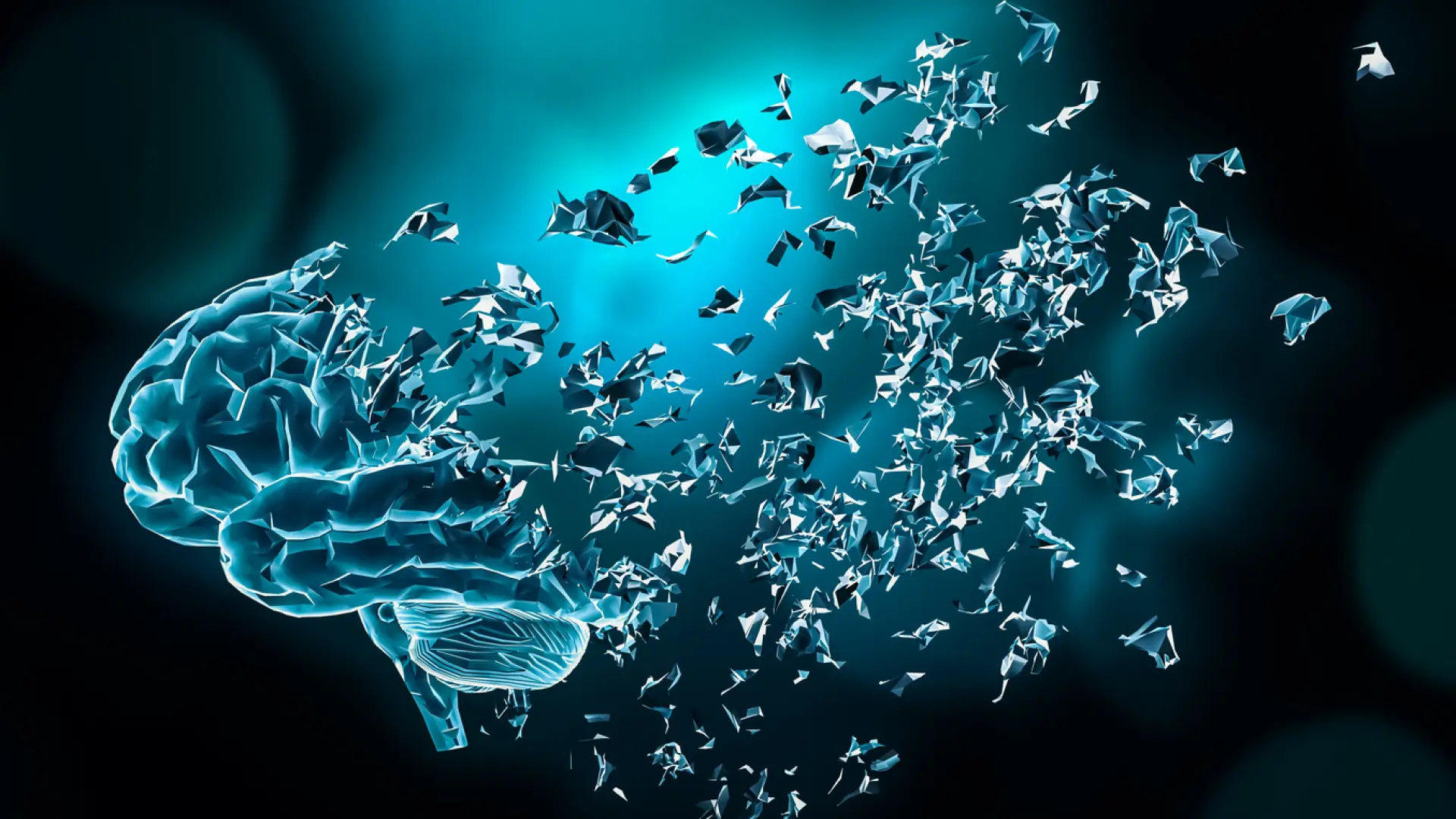 Un estudio revela que la contaminación atmosférica acelera el deterioro cognitivo