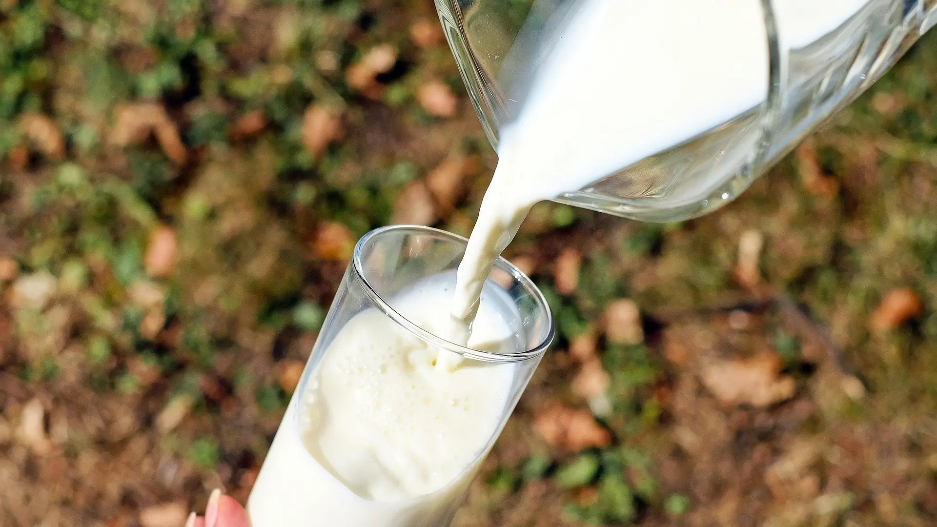 Sara Marin Berbell, doctora experta en microbiota: «Hay cosas más importantes que beber leche para cuidar los huesos»