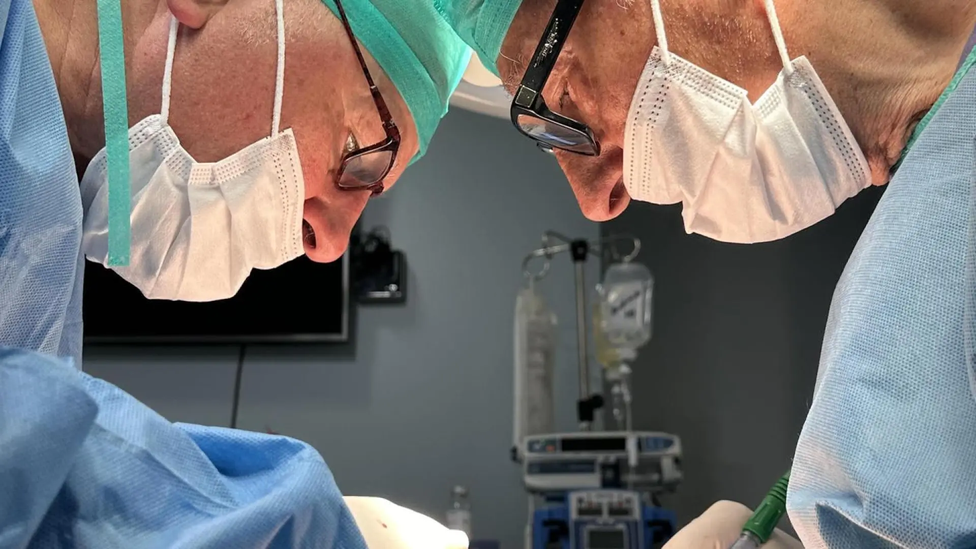 Logran el primer trasplante a cerdos de riñones modificados con organoides humanos